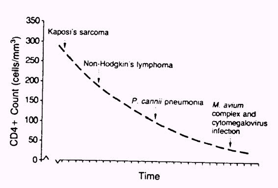 cd4 count hiv